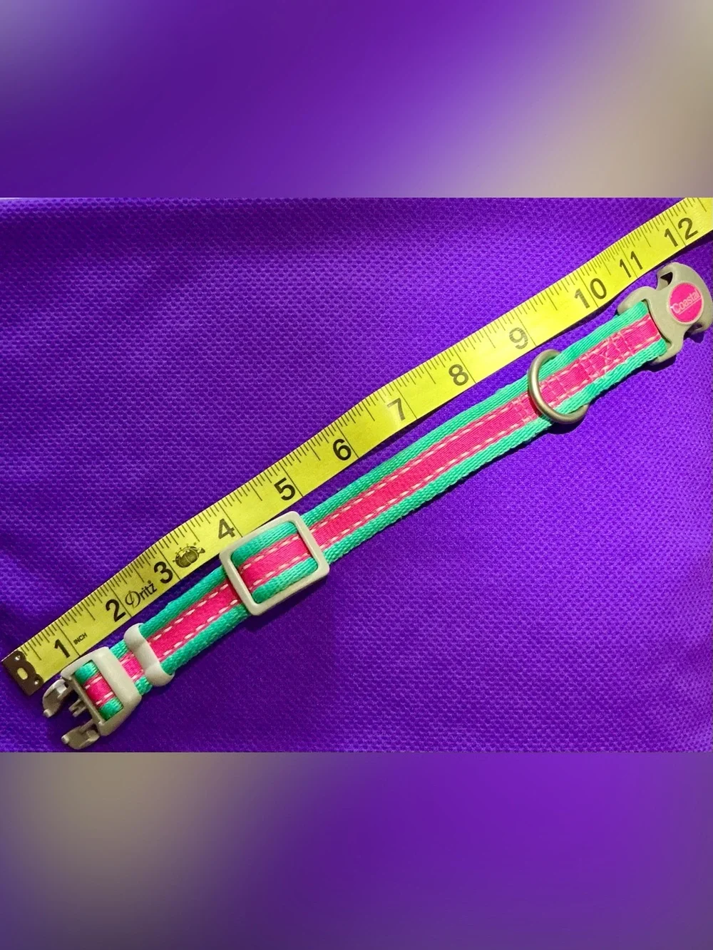 🐾 Coastal Bright Pink & Teal Adjustable Pet Collar with Metal D-Ring
